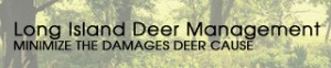 Long Island Deer Management